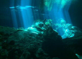 Rockpool Perth: Discover Hidden Treasures and Stunning Marine Life