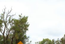 Perth To Broome: Discover The Ultimate Adventure Route Today