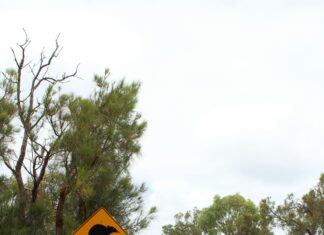 Perth To Broome: Discover The Ultimate Adventure Route Today