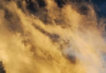 Sydney FC Vs Perth Glory: Who Will Dominate The Thrilling Clash?