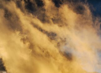 Sydney FC Vs Perth Glory: Who Will Dominate The Thrilling Clash?