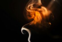 Synergy Perth: How This Power Giant Transforms Your Energy Experience