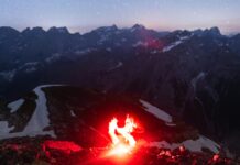 Ross Auctions Perth: Discover Unbeatable Deals and Hidden Treasures