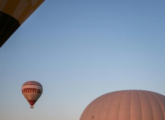 Trans Escorts Perth: Discover The Ultimate Guide To Unforgettable Experiences