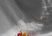 Swarovski Perth: Discover Stunning Crystals That Captivate Instantly