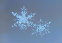 Weather On Perth: Discover What Makes Its Climate So Unique Today