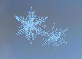 Weather On Perth: Discover What Makes Its Climate So Unique Today