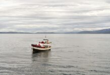 A2B Perth: Discover Amazing Transport Solutions Near You Today