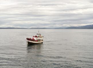 A2B Perth: Discover Amazing Transport Solutions Near You Today