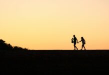 Perth To Brisbane Travel Guide: Secrets For An Unforgettable Journey