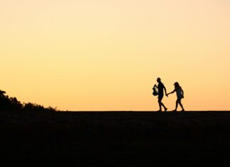 Perth To Brisbane Travel Guide: Secrets For An Unforgettable Journey