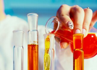 Bunnings Perth: Discover Unbeatable Deals and Expert Tips Today