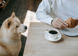 Best Breakfast Perth: Where To Find Delicious Morning Delights