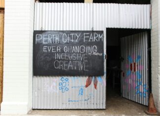 Northbridge Perth Secrets: Why Everyone Is Talking About This Hub