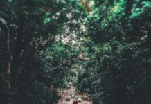 Second Hand Cars Perth: Discover Amazing Deals You Can’t Miss