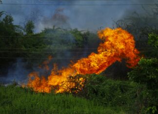 Bushfires Perth: How To Stay Safe During Intense Wildfire Threats